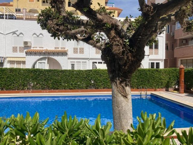 Casa Torrevieja La Mata Villa Bagian luar foto